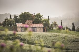 barilla, caccia al tesoro