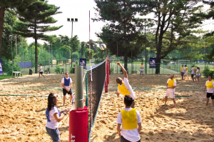 alleanza volley