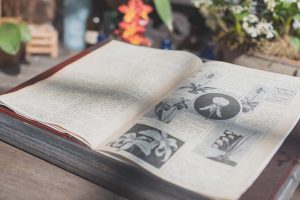 cannabis business in italy 4