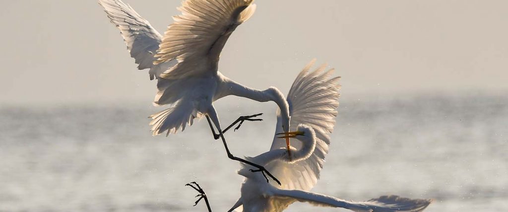 conflitto sul lavoro