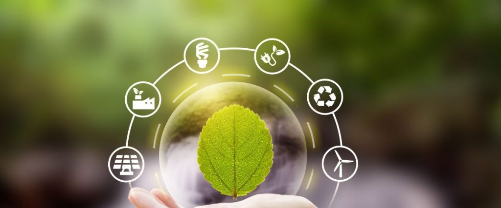 digital sustainability sostenibilità digitale