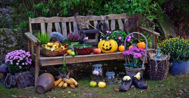 eventi autunno