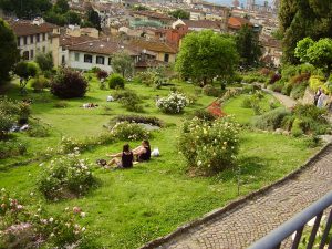 florence rose garden