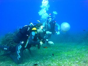 incentive destinations summer Scuba diving elba