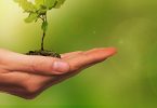 lead nurturing