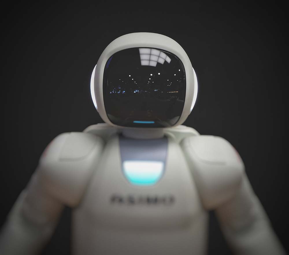 machine learning bot