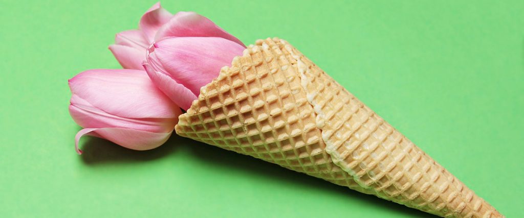 marketing plan primavera