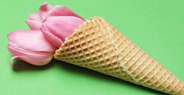 marketing plan primavera