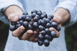 organic food grapes