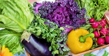 organic food industry italy vegetables