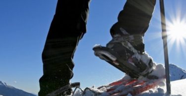 phadia snowshoeing team building winter sports case history