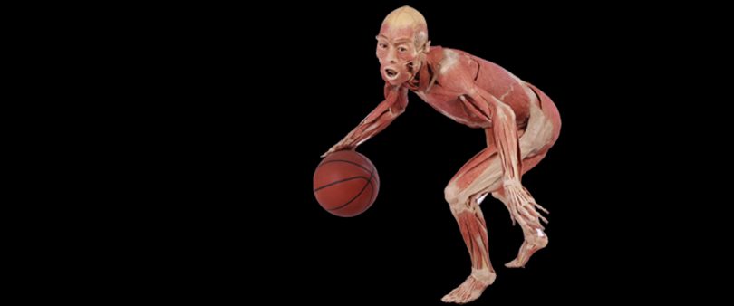 real bodies