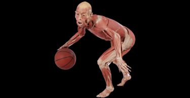 real bodies milan basket