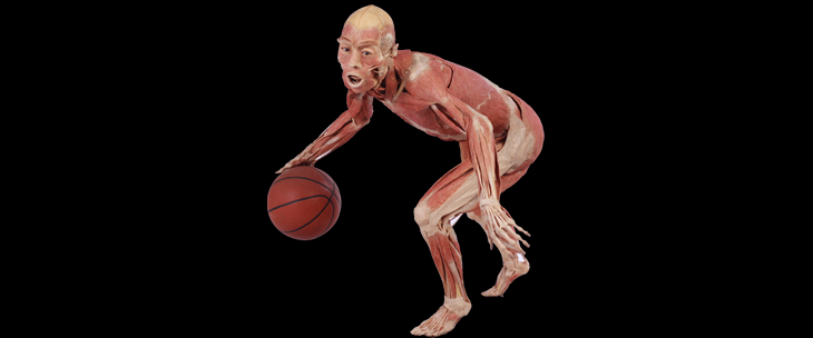 real bodies milan basket