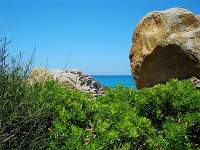 sardinia