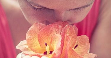 sensory analysis