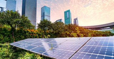 sustainability alliance