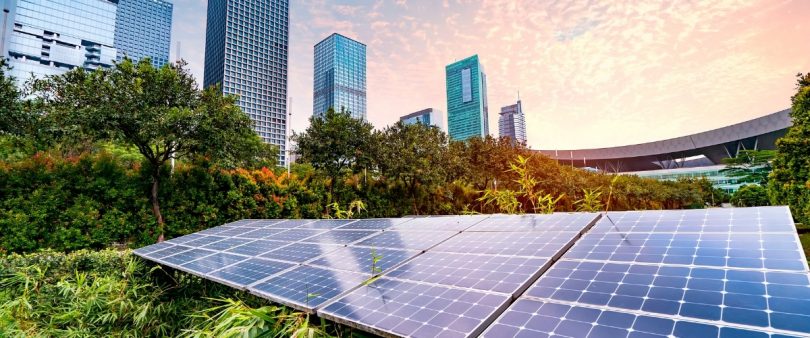 sustainability alliance