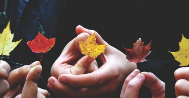 team building outdoor autunno inverno